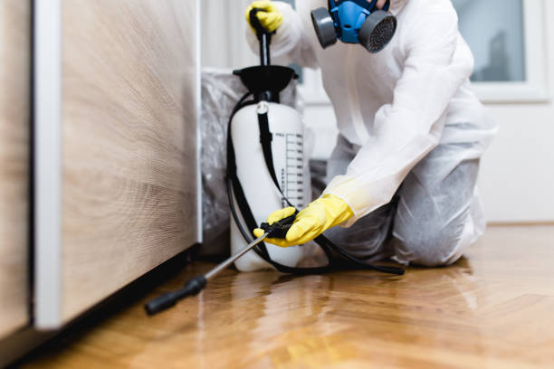 Best Mosquito Control Services  in Woodbury, TN