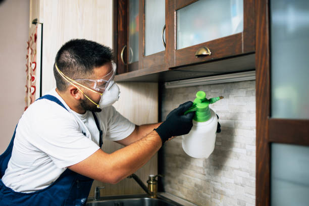Best Wasp Removal Services  in Woodbury, TN