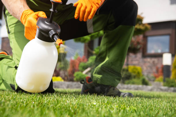 Best Wildlife Control Services  in Woodbury, TN