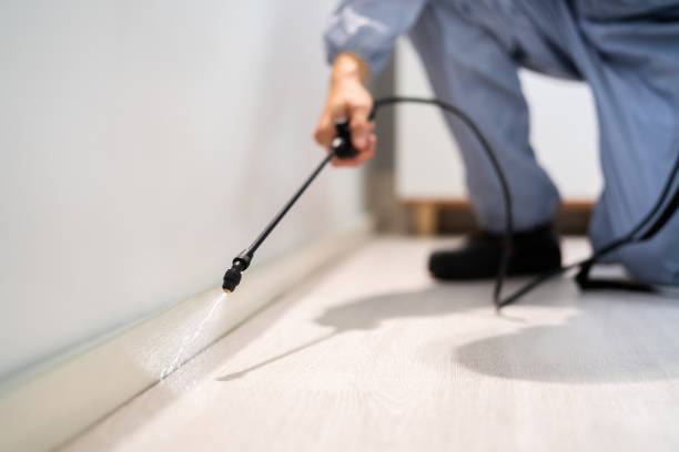 Professional Pest Control in Woodbury, TN
