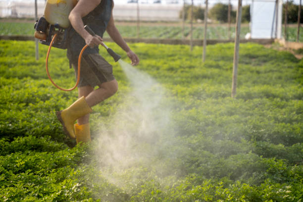 Pest Control Cost in Woodbury, TN